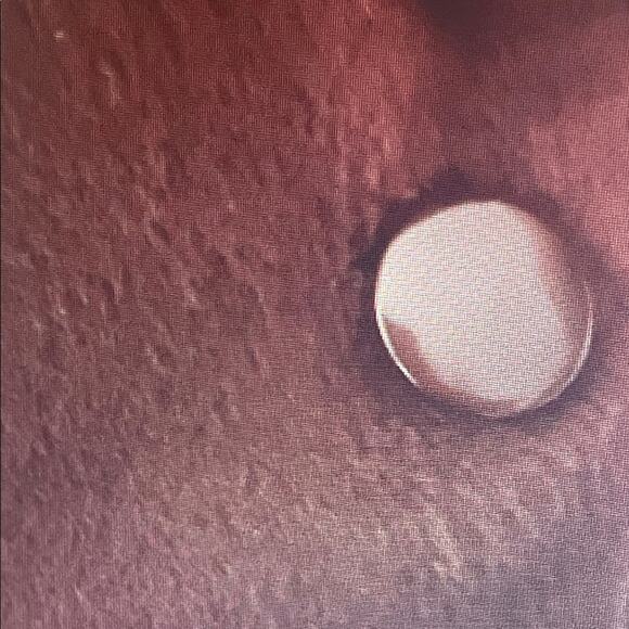 Trina Turk Burgundy Wool Blend Coat. 14 - Picture 5 of 6